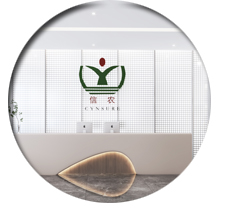 辦公室蜜桃成人在线免费视频設計效果